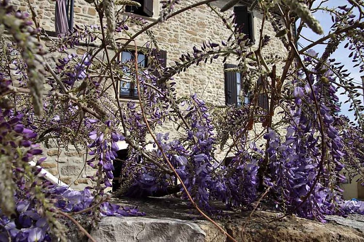 La maison WISTERIA