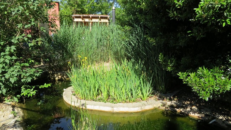 L'accueil Naturel Room