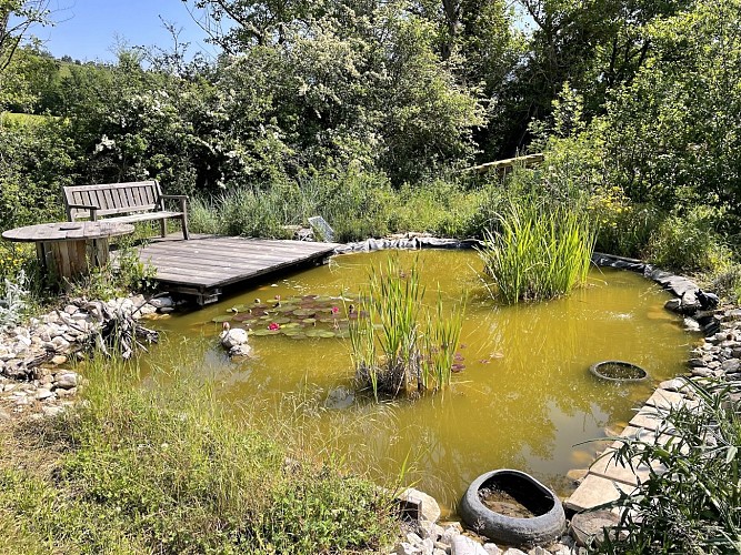 Chambres d'hôtes La Hulotte sur l'Auribelle