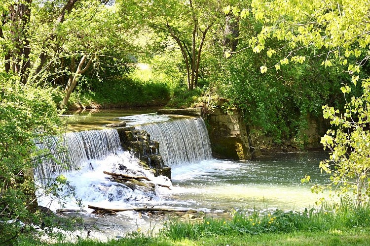 Troupeau de Bancs - Clé des Champs N°7/15