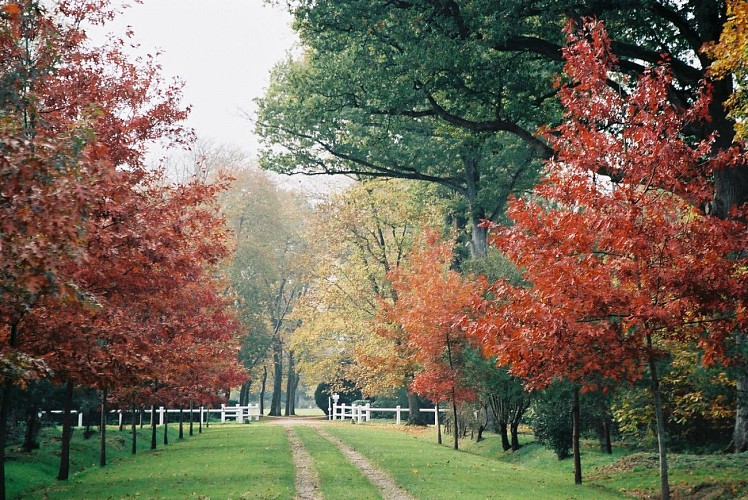 Parc du château du Martreil