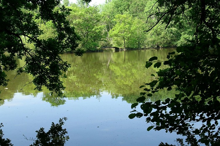 Parc du château du Martreil