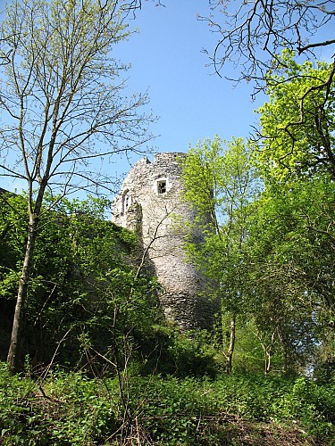 CHÂTEAU DE LA HAUTE GUERCHE