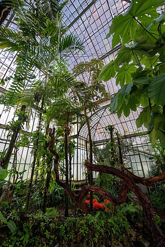 JARDIN DES PLANTES