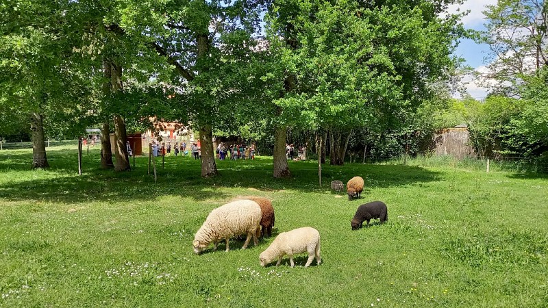 PARC ET FERME DE LA CHANTRERIE