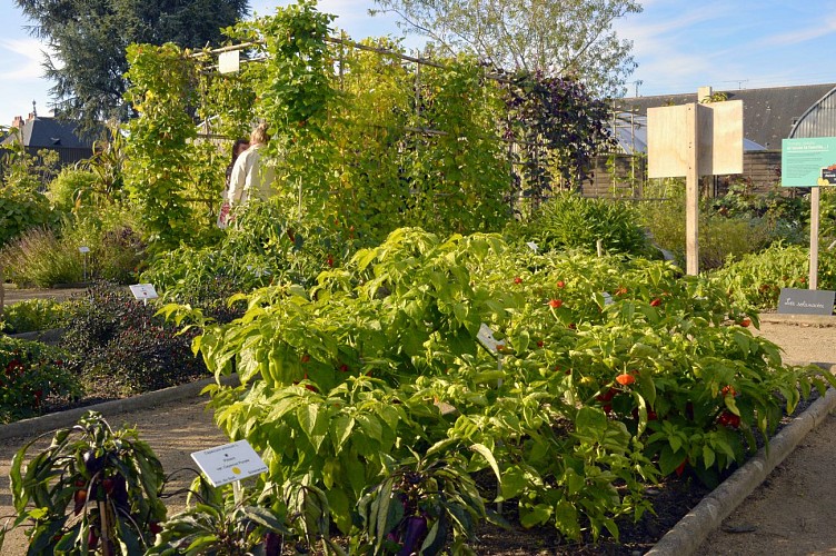 PARC DU GRAND BLOTTEREAU