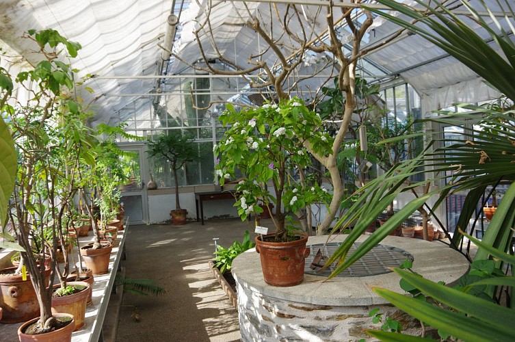 PARC DU GRAND BLOTTEREAU