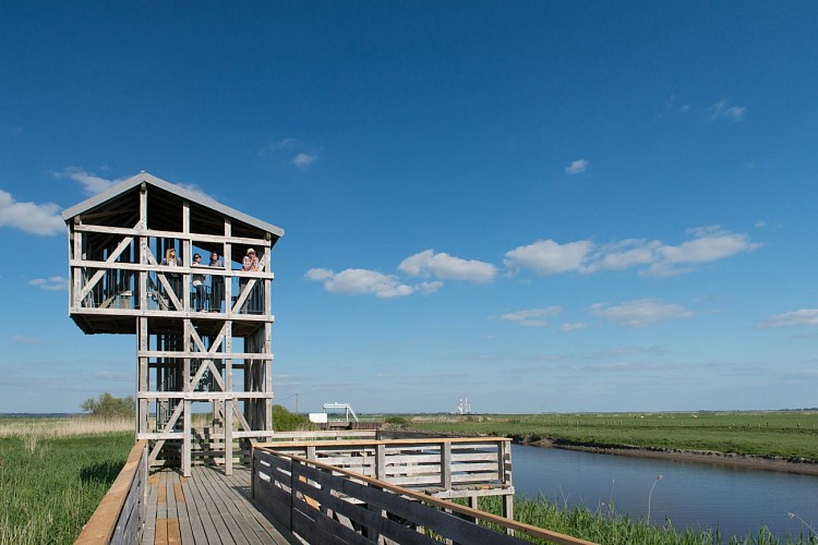 L'OBSERVATOIRE– TADASHI KAWAMATA