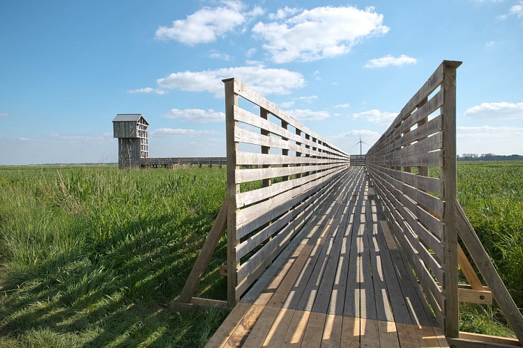 L'OBSERVATOIRE– TADASHI KAWAMATA