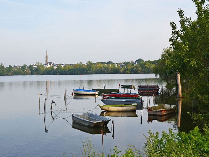 ETANG DU BOIS JOALLAND