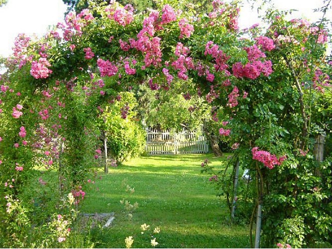 Un Jardin en Anjou, parc et jardins du château de La Montchevalleraie