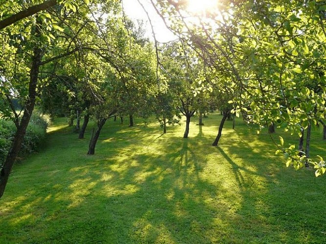 Un Jardin en Anjou, parc et jardins du château de La Montchevalleraie