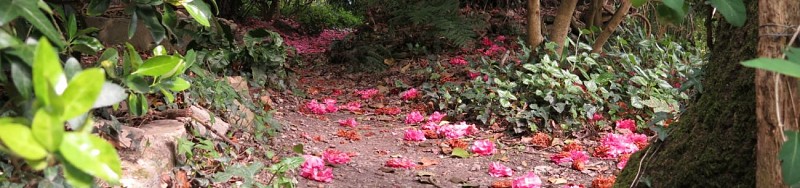 Les Jardins du Marais