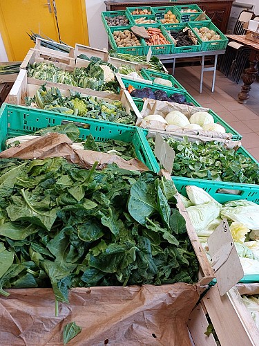 Market in the Jardins d'Icare