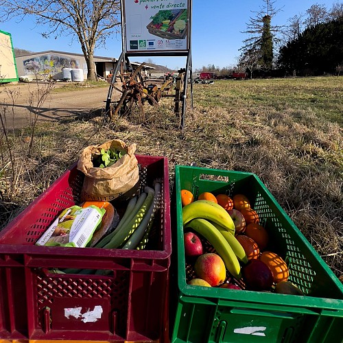 Marché des maraîchers de la Doller