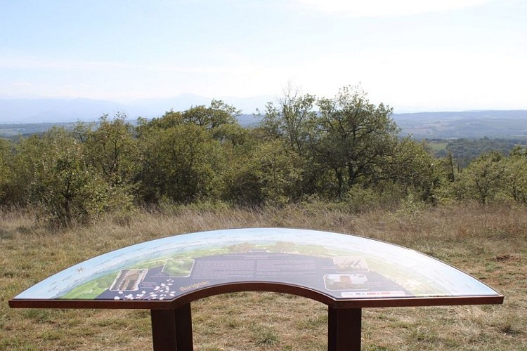 Colline de Martin : Table d'Orientation