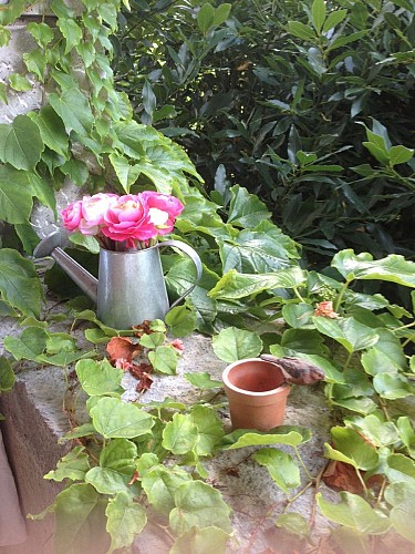 Le Domaine de la Manse