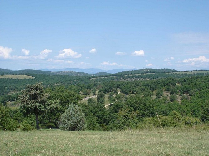 Chambre d'hôte Ferme équestre Le Relais de Vazeille