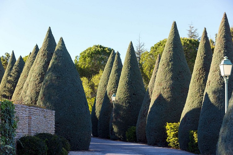 Carcarille Hôtel & Spa