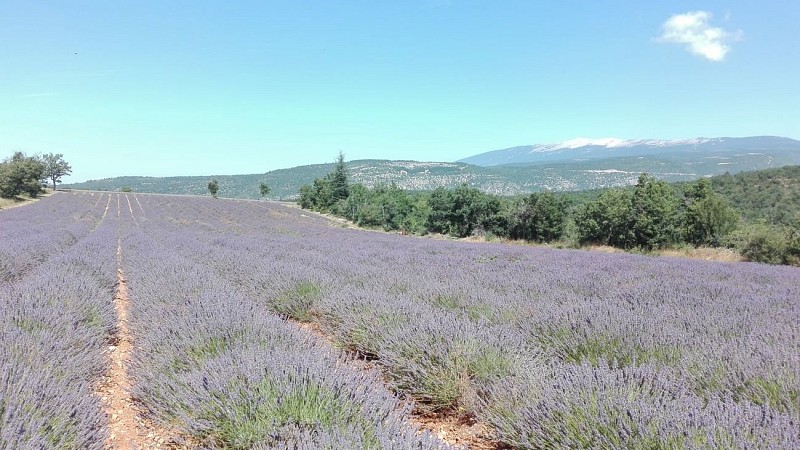 Farm inn La Maguette