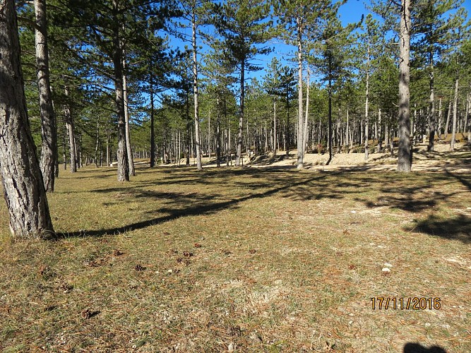 Aire de camping-cars Le Domaine le Clos de Bruis