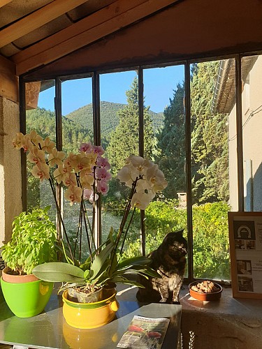 Le Mas de Reilhanette - Bed & Breakfast