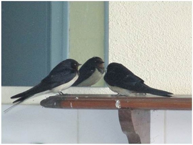 Camping Sourire Du Sud