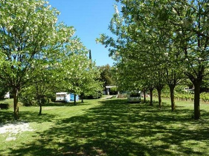 Camping Sourire Du Sud