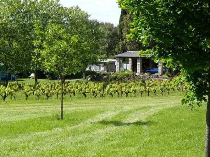 Camping Sourire Du Sud