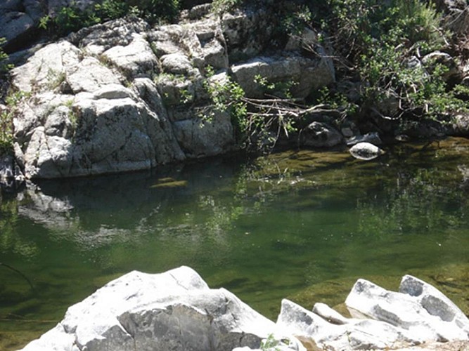 Camping Le Petit Baigneur