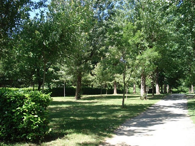 Camping Le Petit Baigneur