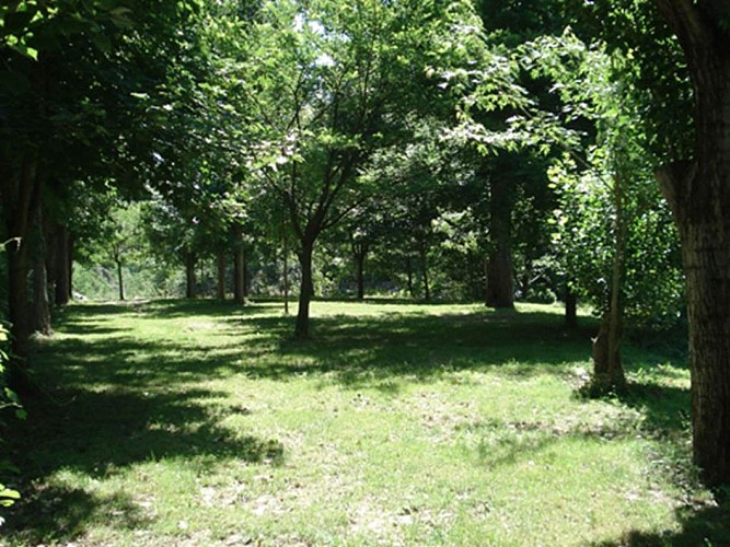 Camping Le Petit Baigneur