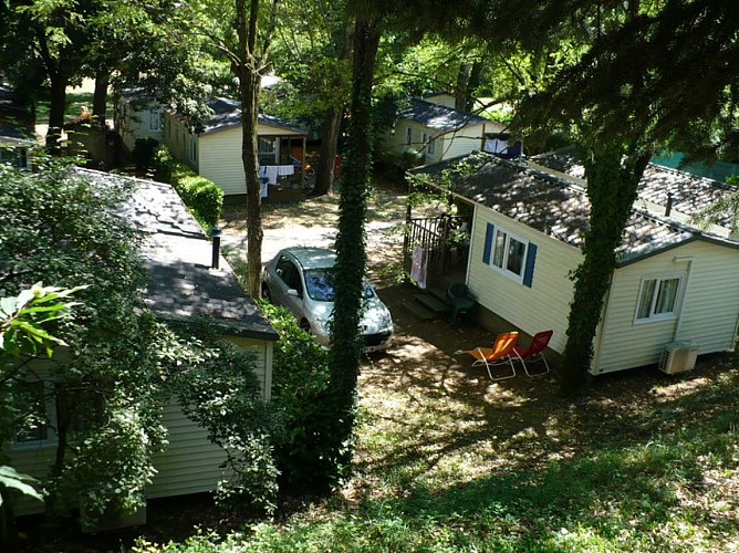 Bloemen Camping Les Fauvettes