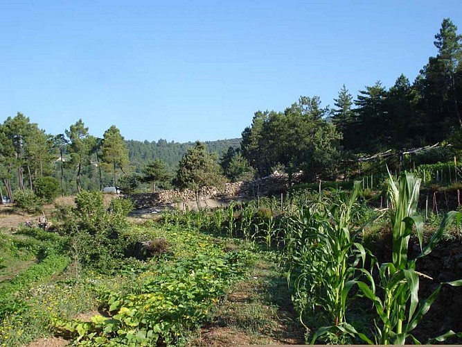 Camping de la Ferme Bio de la Baraque
