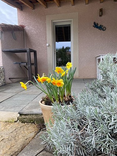 La Salamandre - Chambre d'hôtes