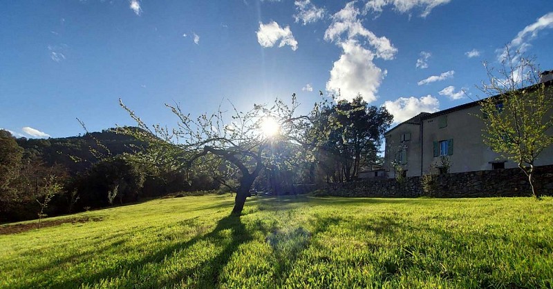 The Rooms of the Gardens of Falguière