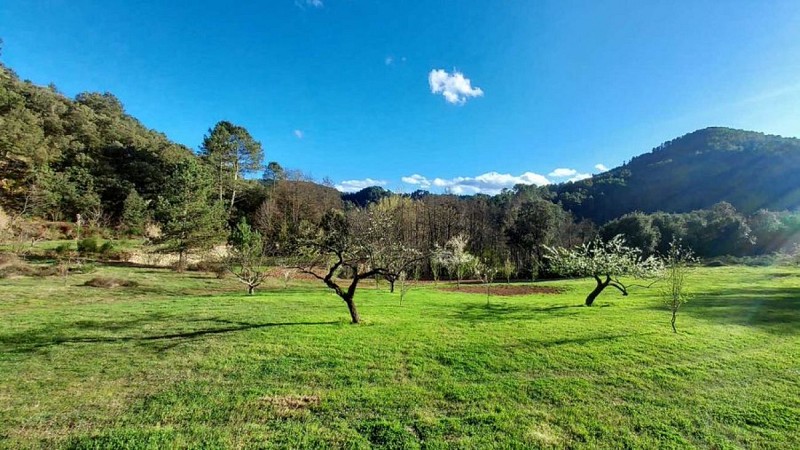 The Rooms of the Gardens of Falguière