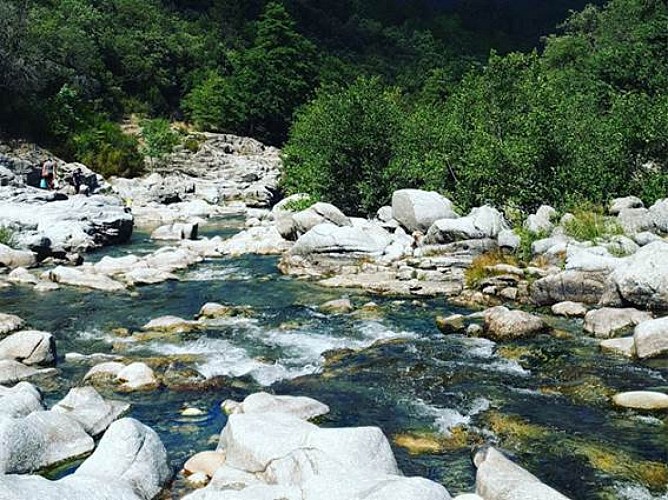 Camping la Berge Fleurie