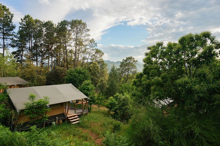 Camping Bivak Natuur