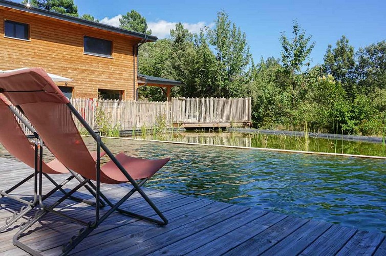 Camping Bivak Natuur