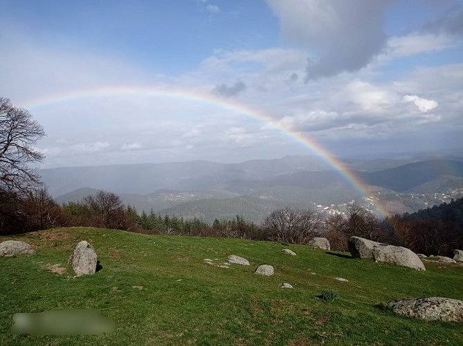 Les Chambres d'hôtes de Tourèves