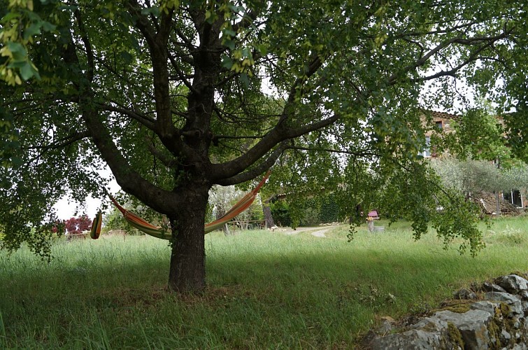 Le Pailler des Aigladines