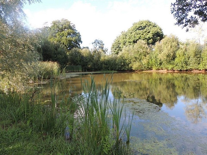 Domaine des Mille Oiseaux : Les Hirondelles