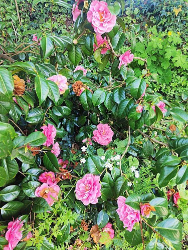 GÎTE ÉTAPE ET SÉJOUR - LE ROC AU LOUP