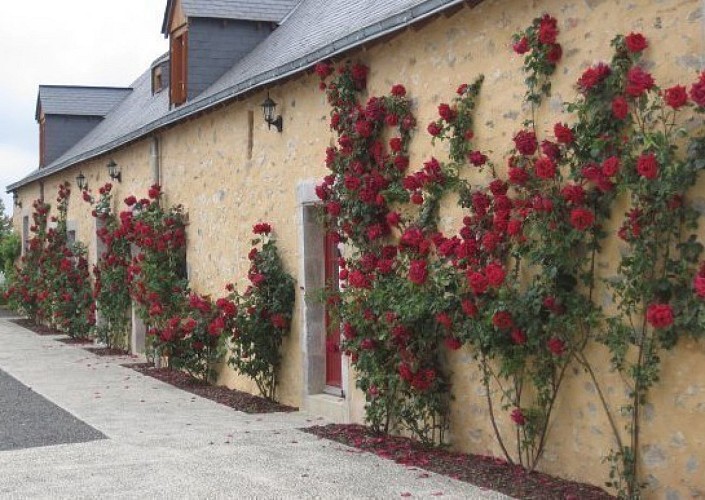 GÎTE DE GROUPE - LE DOMAINE DES HALLAIS