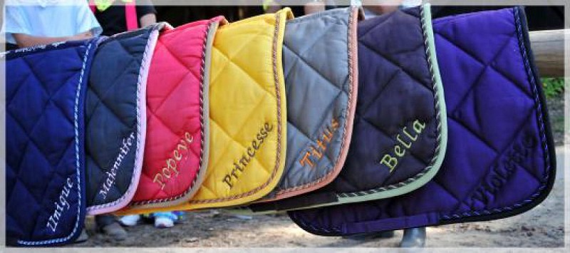 CENTRE ÉQUESTRE DE L'ERDRE