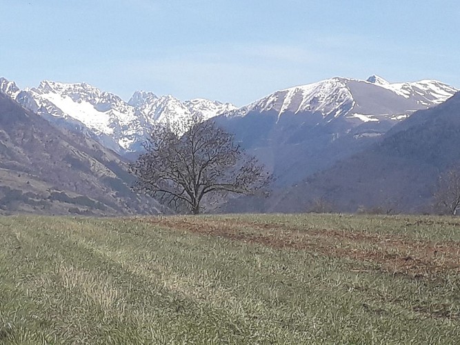 Hôtel Pizzeria Dolce Vita