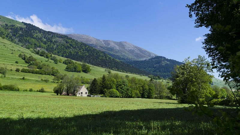 Le Mas - 4 à 38 personnes