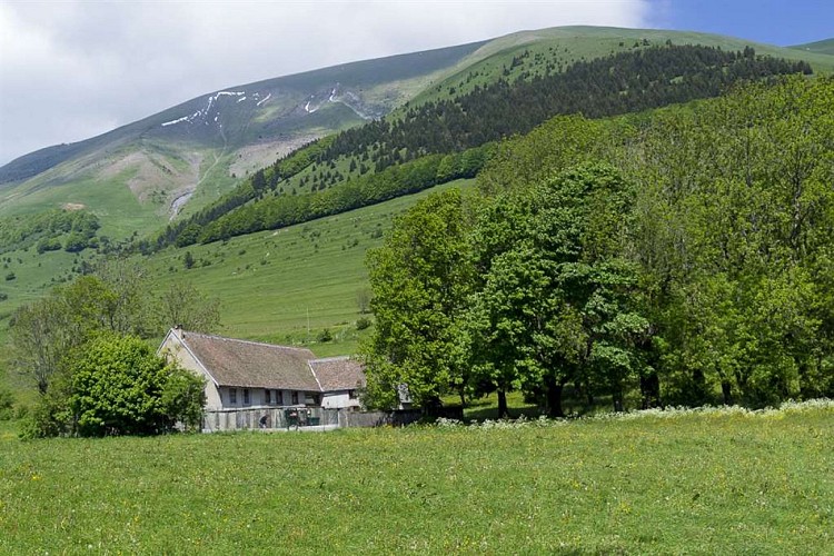 Le Mas - 4 à 38 personnes