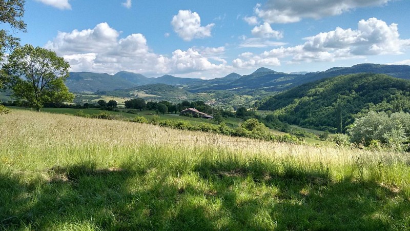 Aire Naturelle de Camping Grange Neuve